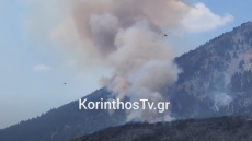 Μεγάλη αναζωπύρωση πάνω από τη Λαύκα στον Φενεό Κορινθίας - Δείτε βίντεο