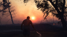 Διάσπαρτες εστίες στη φωτιά στο Κρυονέρι,  κόπασαν οι άνεμοι, δεν απειλούνται σπίτια 