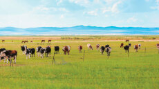 Πάρτι με τα βιολογικά να δείτε! Με εντολή Τσιάρα άρχισαν έλεγχοι για πιστοποιήσεις «μαϊμού» σε βιοκαλλιεργητές