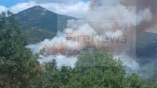 Διάσπαρτες εστίες στη φωτιά στη Δεσκάτη Γρεβενών - Εκκενώθηκε κατασκήνωση με 55 παιδιά