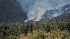 Λάρισα: Χωρίς ενεργό μέτωπο η φωτιά στην Αγιά - Αυξημένη επιφυλακή για αναζωπυρώσεις