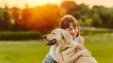 Πολλαπλή σκλήρυνση: Η… τετράποδη θεραπεία που διευκολύνει την κινητικότητα και ανακουφίζει την ψυχική ταλαιπωρία