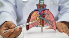 Καινοτόμος ανοσοθεραπεία κατά του καρκίνου του πνεύμονα, με ελληνική σφραγίδα