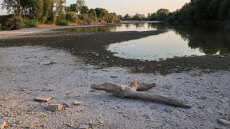 Λάρισα: Ανομβρία και καύσωνας οδήγησαν σε σημαντικότατη πτώση της στάθμης των νερών του Πηνειού