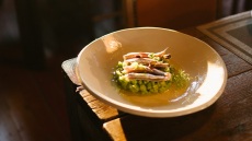 Βλαστάρια από βλίτα με μαριναρισμένο γαύρο 