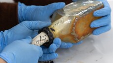 Zωγράφος ανακάλυψε μήνυμα 122 ετών μέσα σε μπουκάλι στον τοίχου ενός φάρου στην Ταζμανία - Δείτε φωτογραφίες