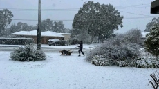 Αυστραλία: Σπάνια χιονόπτωση κάλυψε πόλεις στα ανατολικά -  Έπεσαν 50 εκατοστά χιονιού σε μερικές περιοχές