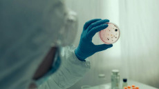 ECDC: Δεύτερο ύποπτο κρούσμα χολέρας στην Πολωνία