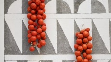 Οι ρέστες της Χίου απειλούνται με εξαφάνιση