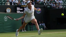 Ελίνα Σβιτολίνα: Θύμα διαδικτυακής επίθεσης από παίκτες στοιχήματος
