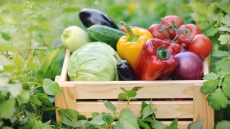 Υπουργείο Αγροτικής Ανάπτυξης: Πρόστιμα άνω των 56.000 ευρώ σε φορείς πιστοποίησης βιολογικών προϊόντων