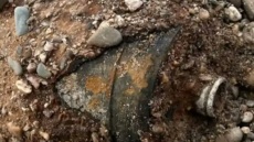 Γερμανία: Πάνω από 17.000 κάτοικοι εγκατέλειψαν γειτονιά της Δρέσδης για την εξουδετέρωση βόμβας του Β' Παγκόσμιου