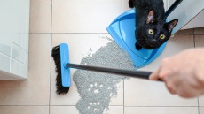 Οι τρόποι για να περιορίσετε το σκόρπισμα της άμμου από την αμμολεκάνη της γάτας στο σπίτι