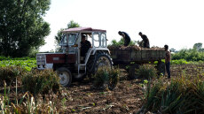 ΟΠΕΚΕΠΕ: Αγρότης με crypto και υβριδικό Mercedes στην «τσιμπίδα» της Αρχής για το Ξέπλυμα Μαύρου Χρήματος
