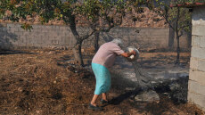 Ηλικιωμένη πάλευε με κουβάδες να βοηθήσει στη φωτιά στην Κερατέα - «Πάει το δασάκι μου»