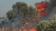 «Η δυναμική που απέκτησε η πυρκαγιά ήταν πάρα πολύ έντονη, ασταμάτητοι οι άνεμοι», λέει ο πρόεδρος αξιωματικών πυροσβεστικής