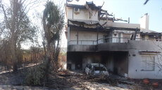 Σε ύφεση τα πύρινα μέτωπα σε Ανατολική Αττική και Ηλεία, μάχη με τις αναζωπυρώσεις - 385 απεγκλωβισμοί