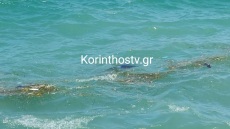 Κόρινθος: Αυτοκίνητο έπεσε στη θάλασσα, ανασύρθηκε χωρίς τις αισθήσεις του ο οδηγός