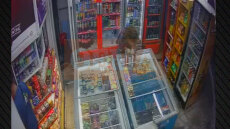 Εξαρθρώθηκε εγκληματική ομάδα που έκλεβε περίπτερα στα βόρεια προάστια της Αττικής - Δείτε βίντεο