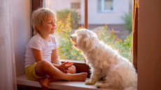 Νέα μελέτη αποκαλύπτει 4 υποτύπους αυτισμού με μοναδικά χαρακτηριστικά – Ποιοι είναι