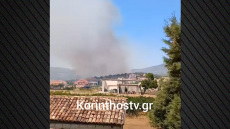 Καλύτερη η εικόνα της φωτιάς στην Αρχαία Νεμέα - 112 για εκκένωση, στη μάχη με τις φλόγες 7 εναέρια