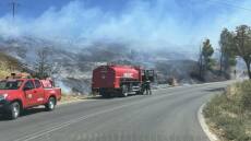 Οριοθετήθηκε η φωτιά στο Πευκόφυτο του Άγιου Στέφανου - Δείτε βίντεο