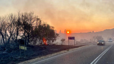 Κατεπείγουσα έρευνα για εμπρησμούς στην Ήπειρο με παρέμβαση του Εισαγγελέα Εφετών Ιωαννίνων