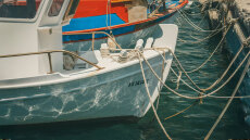 Tα εύσημα των FT στους ψαράδες της Αμοργού: Το σχέδιό τους που μπορεί να σώσει τη Μεσόγειο από την υπεραλίευση