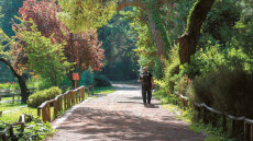 Πάρκο Διομήδους: Αυτός είναι ο «μυστικός κήπος» της Αθήνας που κατατάσσεται στους 10 καλύτερους της Ευρώπης