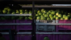 24 ώρες στη Λαχαναγορά του Ρέντη: Από το άνοιγμα ώς το κλείσιμο της Αγοράς
