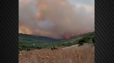 Λάρισα: Σε διάσπαρτες εστίες καίει η φωτιά στο Αμύγδαλο Τυρνάβου - Συνεχίζεται η επιχείρηση της Πυροσβεστικής