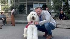 Ανάρτηση Γεωργιάδη για τους σκύλους θεραπείας στο Νοσοκομείο «Μεταξά»: Βάζουμε τον ασθενή στο κέντρο