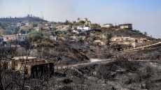 Φωτιές στη Χίο: Το 22% του νησιού έχει καεί από το 2016