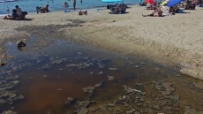 «Αποκαρδιωτική εικόνα, χάος και βρωμιά» - Φωνάζουν οι κάτοικοι για έλος με σκουπίδια στην κεντρική πλαζ Σαρωνίδας