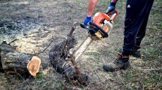 Ιωάννινα: Κορμός οξιάς καταπλάκωσε ξυλοκόπο στην Χρυσοβίτσα