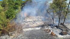 Υπό μερικό έλεγχο η φωτιά στο Ράγιο Φιλιατών στη Θεσπρωτία