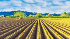 Υπόθεση ΟΠΕΚΕΠΕ: Ο χάρτης των αμαρτωλών επιδοτήσεων - 25 νέες περιπτώσεις και το μοτίβο δράσης τους