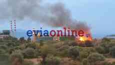 Εύβοια: Οριοθετήθηκε άμεσα η φωτιά κοντά στο εργοστάσιο της ΔΕΗ