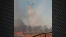 Οριοθετήθηκε η φωτιά στο Λαύριο - Επιχειρούν ισχυρές δυνάμεις της Πυροσβεστικής