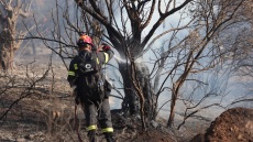 Meteo: Ελλάδα και Ισπανία οι πιο επιβαρυμένες περιοχές της ΕΕ σε ποιότητα αέρα το καλοκαίρι 2025 λόγω των πυρκαγιών