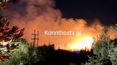 Υπό έλεγχο η φωτιά που εκδηλώθηκε στα Εξαμίλια Κορινθίας - Βίντεο