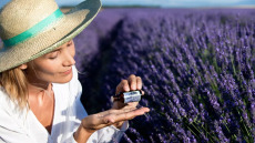 Το φυτικό συμπλήρωμα που διώχνει άγχος και ανησυχία – Αποτελεσματικό όσο τα αγχολυτικά