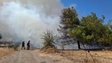 Λέσβος: Ένοχος για εμπρησμό από αμέλεια ένας 20χρονος για τη φωτιά στη Βρίσα