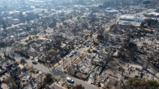 Μάζεψαν 100 εκατ. στη συναυλία για τις πυρκαγιές στο Λος Άντζελες και πήγαν σε κατοικίδια, ΜΚΟ και συμπερίληψη - Καμία ενίσχυση απευθείας σε πυρόπληκτους