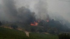 Καλύτερη η εικόνα της φωτιάς στο Άλσος Αχαΐας
