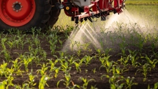 Ενισχυμένοι οι έλεγχοι για τα φυτοφάρμακα στα τρόφιμα 
