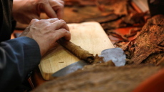 Φυλακισμένοι στην Κούβα φτιάχνουν πούρα με καταναγκαστική εργασία καταγγέλλει ΜΚΟ
