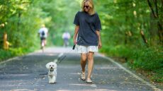 Αυτό είναι το πιο σημαντικό πράγμα που πρέπει να κάνετε στη βόλτα με τον σκύλο σας