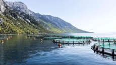 Avramar: Τράπεζες και Aqua Bridge κλείδωσαν τους όρους διάσωσης