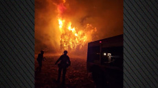 Οριοθετήθηκε η φωτιά στα Λεχαινά Ηλείας - Δείτε βίντεο